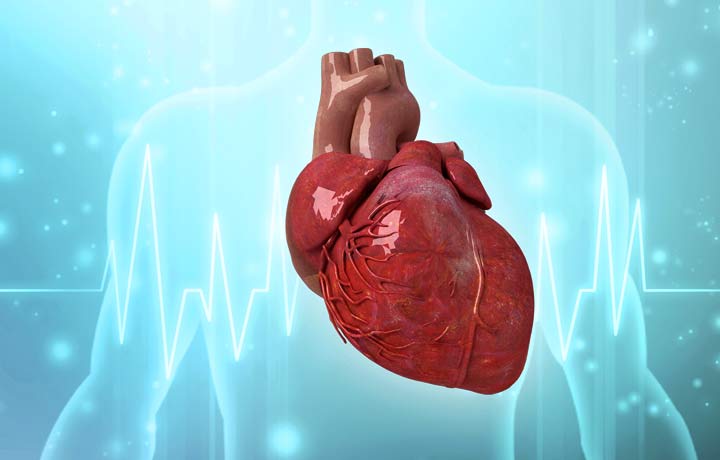 image of stethoscope on EKG reading