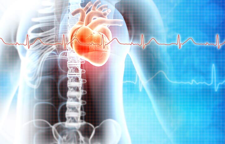 silhouette of bosy with heart and ECG